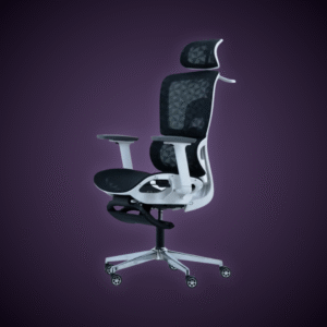 ErgoMesh Pro Gaming Chair by Sham'srig